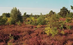 Minolta ER SLR 35mm Film Camera