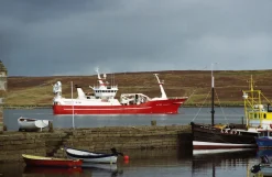 Minolta Maxxum 7000i Automatic SLR 35mm Film Camera with Minolta AF 35mm-105mm Zoom Lens