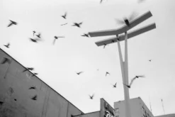 Minolta Minoltina P 35mm Film Camera Point and Shoot