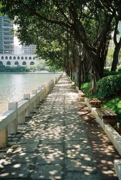 Minolta Riva Zoom 125 35mm Film Camera Point and Shoot