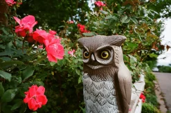 Minolta Riva Zoom 130 35mm Film Camera Point and Shoot