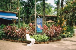 Minolta Riva Zoom 75W 35mm Film Camera Point and Shoot