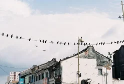 Minolta SR-7 SLR 35mm Film Camera BODY ONLY