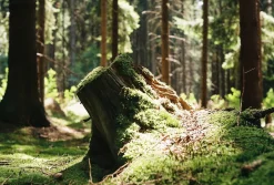 Minolta SR-7 SLR 35mm Film Camera with Minolta 135mm F3.5 Lens