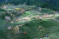 Minolta SR-1s SLR 35mm Film Camera with lens