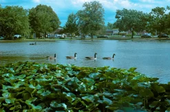 Minolta SRT SC-II SLR 35mm Film Camera with 50mm lens