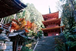 Minolta X-500 SLR 35mm Film Camera with Auto Zoom Lens