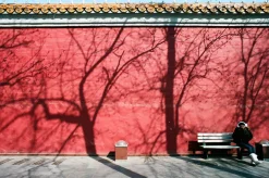 Minolta X-500 SLR 35mm Film Camera with Auto Zoom Lens