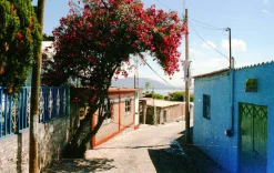 Minolta XG-1 SLR 35mm Film Camera with 50mm lens