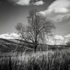 Minoltacord With 75mm F3.5 Lens. TLR 6X6 Medium format Film Camera.