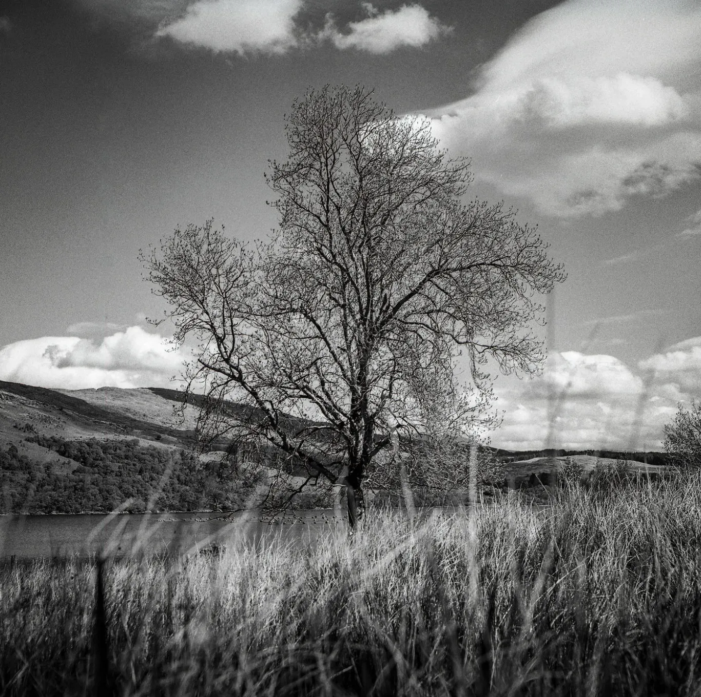 Minoltacord With 75mm F3.5 Lens. TLR 6X6 Medium format Film Camera.