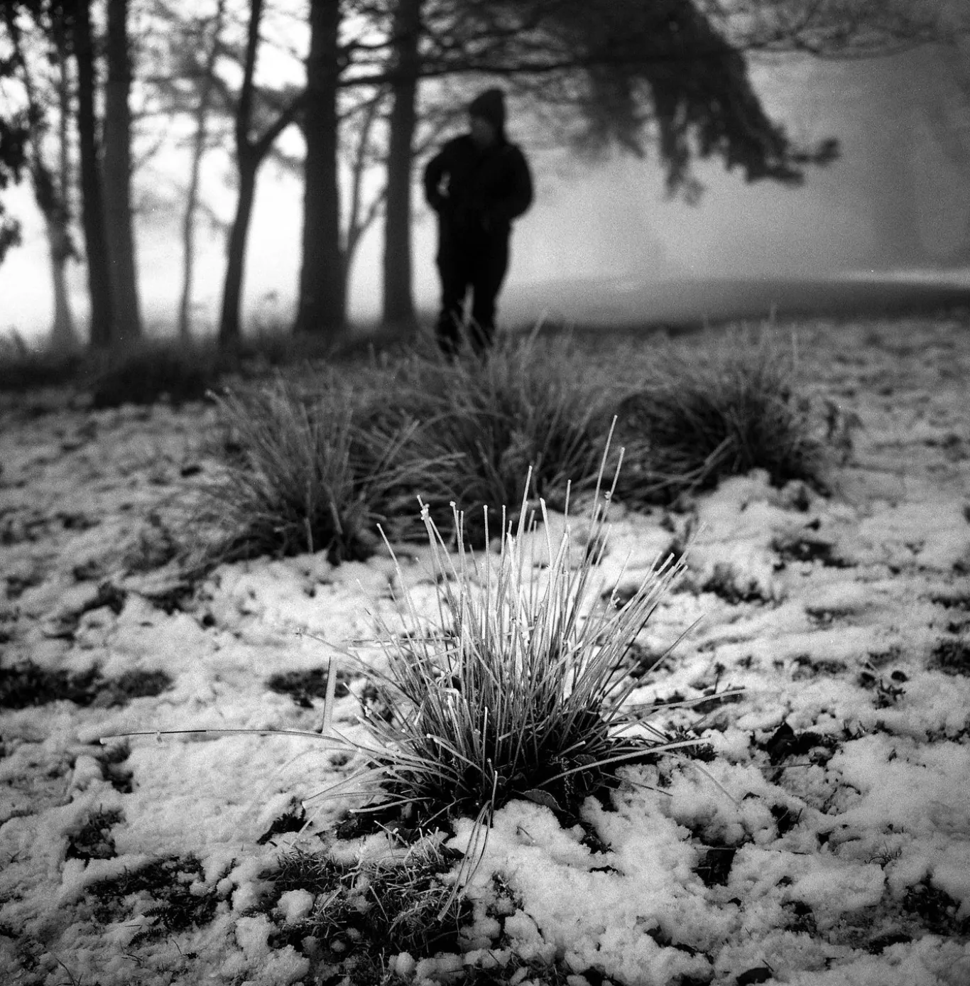 Minoltacord With 75mm F3.5 Lens. TLR 6X6 Medium format Film Camera.