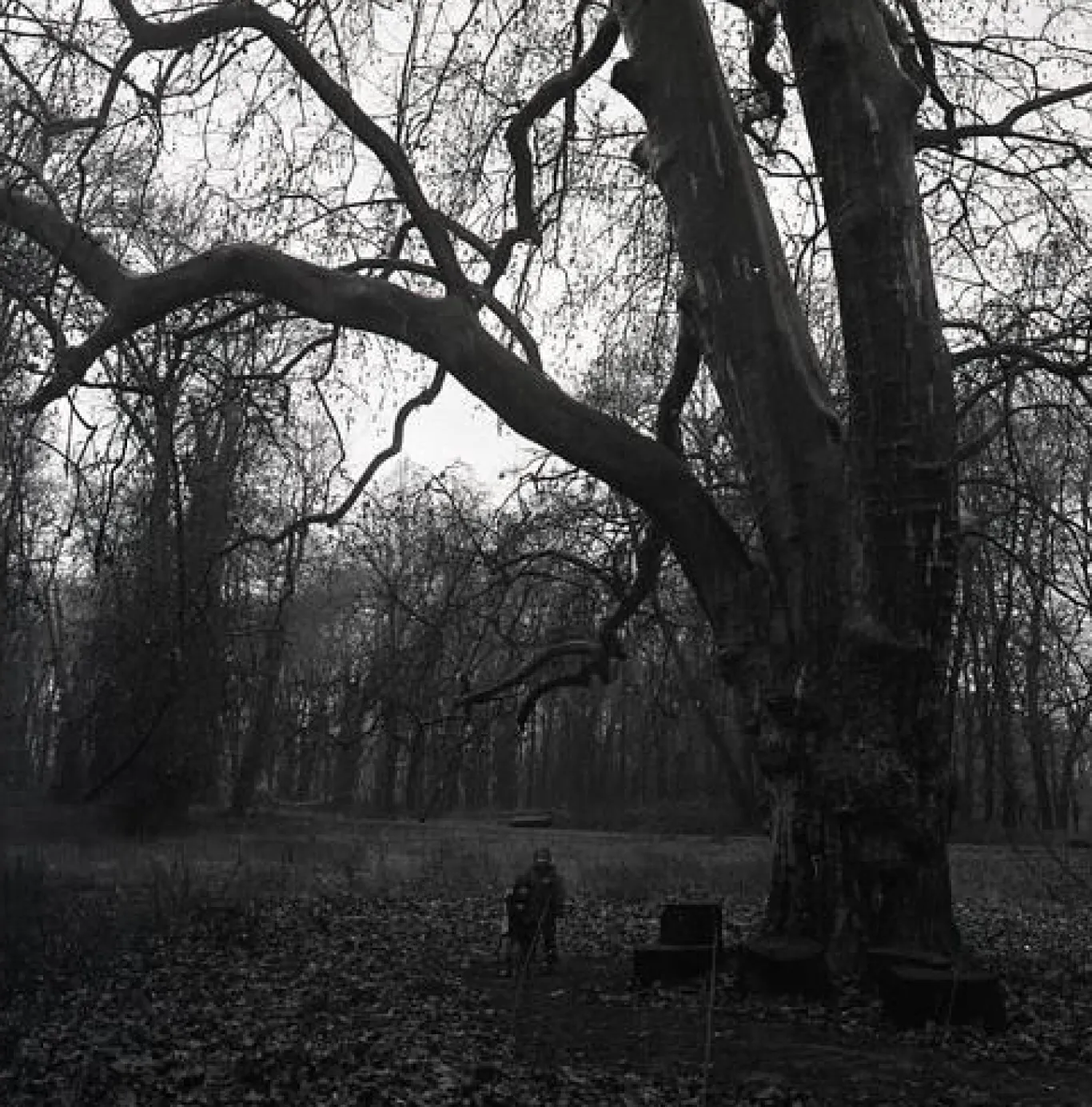 Minoltacord With 75mm F3.5 Lens. TLR 6X6 Medium format Film Camera.