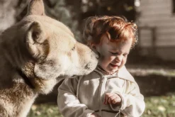 Mirage Macro 28mm f/2.8 Camera Lens