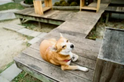 Miranda 24mm f/2.8 Macro Camera Lens