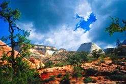 Miranda 35mm f/3.5 Macro Camera Lens