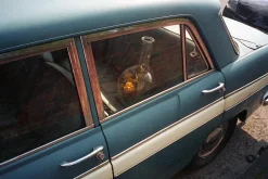 Nikon AF 600 35mm Film Camera Point and Shoot