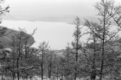 Nikon EM 35mm SLR Film Camera With Nikon series E 50mm F1.8 Lens