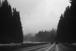 Nikon EM 35mm SLR Film Camera With Nikon series E 50mm F1.8 Lens