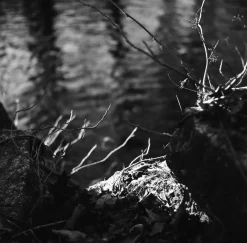 Nikon EM 35mm SLR Film Camera With Nikon series E 50mm F1.8 Lens