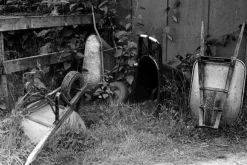 Nikon FE (Black) 35mm SLR Film Camera With Nikkor 50mm F1.8 Lens