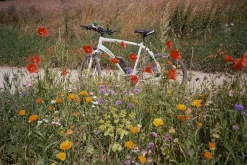 Nikon FE (Black) 35mm SLR Film Camera With Nikkor 50mm F1.8 Lens