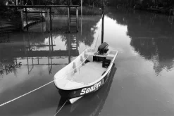 Nikon FE (Silver) 35mm SLR Film Camera With Nikkor 50mm F1.8 Lens