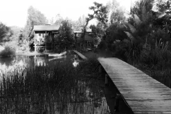 Nikon FE (Silver) 35mm SLR Film Camera With Nikkor 50mm F1.8 Lens