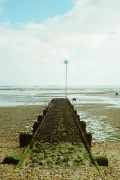 Nikon TW Zoom 35-70 35mm Film Camera Point and Shoot