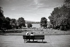 Nikon-AF240SV 35mm Point n Shoot Film Camera