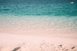 Olympus 700 XB 35mm Film Camera Point and Shoot