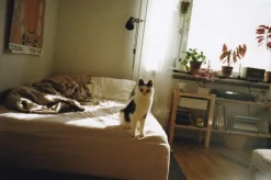 Olympus AF 10 Mini 35mm Film Camera Point and Shoot