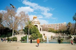 Olympus AF 10 35mm Film Camera Point and Shoot