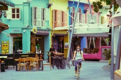 Olympus E.Zuiko 135mm f/3.5 Camera Lens