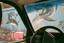 Olympus Mju III Zoom 150 35mm Film Camera Point and Shoot