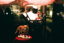 Olympus Mju III Zoom 150 35mm Film Camera Point and Shoot