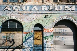 Olympus Mju Zoom 105 35mm Film Camera Point and Shoot