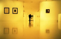 Olympus 28mm f/2.8 Camera Lens