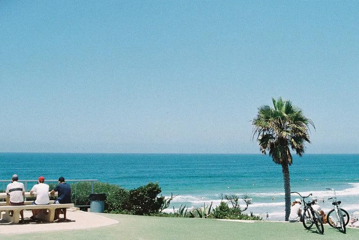 Olympus OM 1 Vintage 35mm SLR Film Camera with f/1.8 50mm Prime Lens