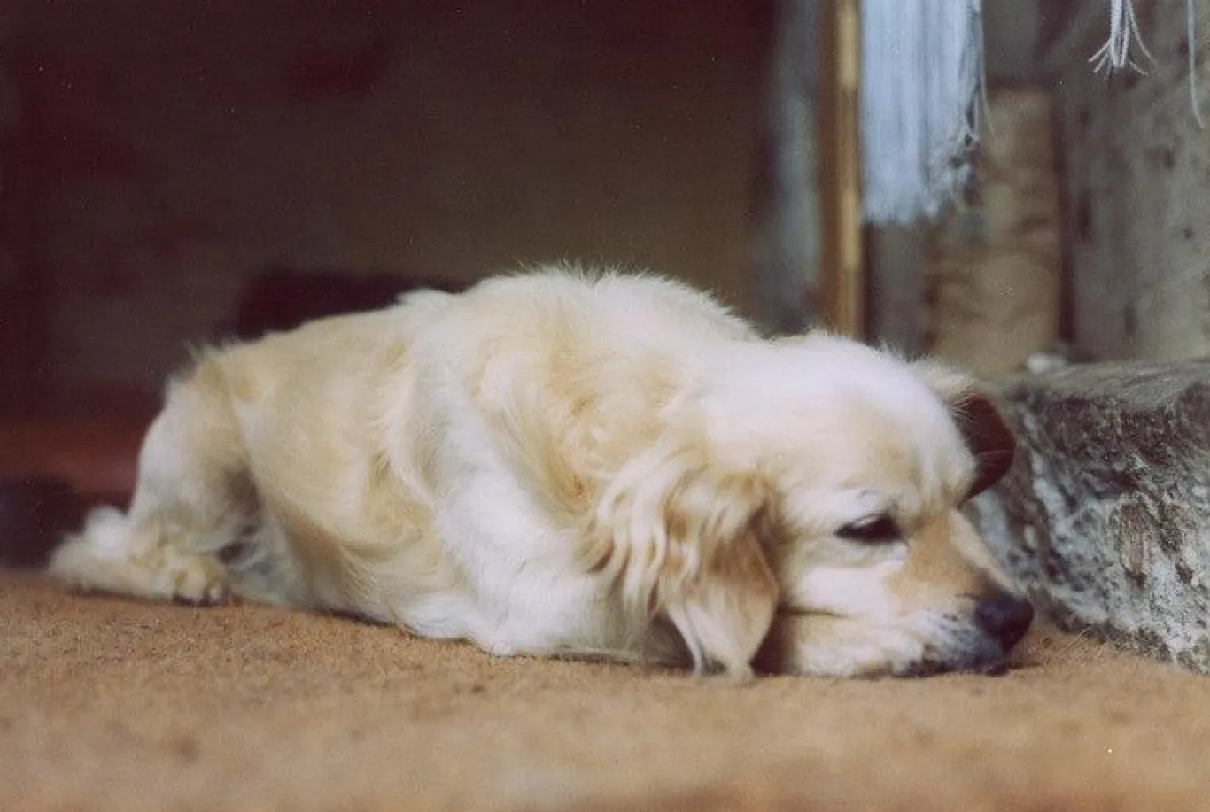 Olympus OM 1 Vintage 35mm SLR Film Camera with f/1.8 50mm Prime Lens