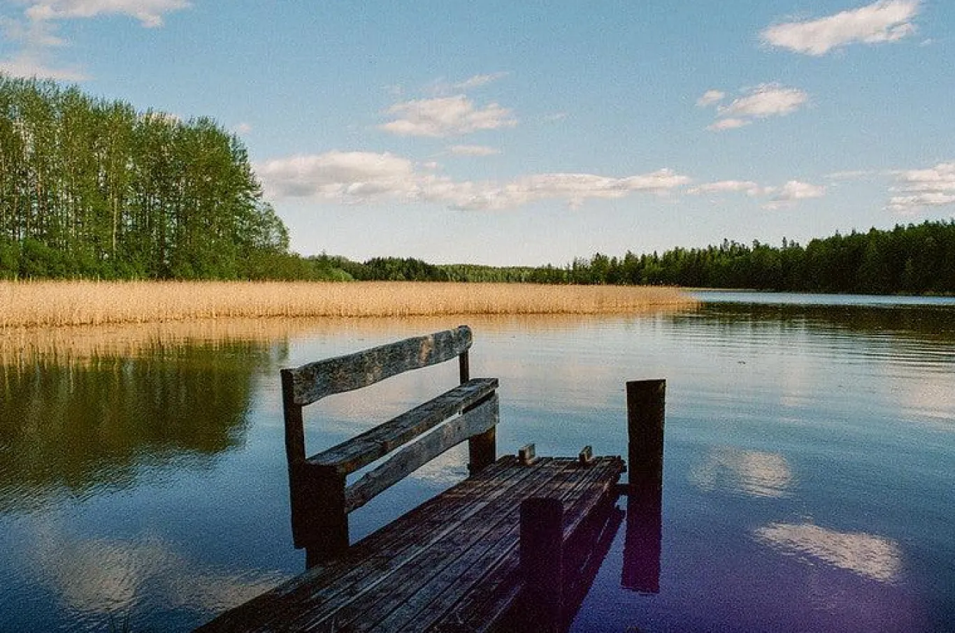 Olympus OM 1 Vintage 35mm SLR Film Camera with f/1.8 50mm Prime Lens