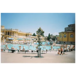 Olympus Shoot & Go 35mm Film Camera Point and Shoot