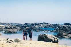 Olympus Superzoom 800S 35mm Film Camera Point and Shoot