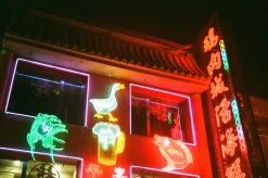 Olympus Trip 35 - 35mm Film Camera Starter Bundle