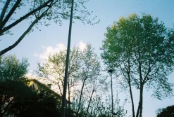 Olympus Trip 300 / Trip 301 35mm Film Camera Point and Shoot