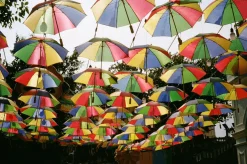 Olympus Trip 35 Brown Point and Shoot 35mm Film Camera