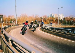 Olympus Trip 35 Brown Point and Shoot 35mm Film Camera