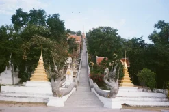 Olympus Trip 35 Brown Point and Shoot 35mm Film Camera