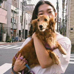 Olympus Trip 35 Navy Point and Shoot 35mm Film Camera