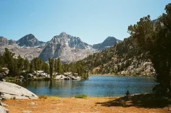 Olympus Trip 35 Navy Point and Shoot 35mm Film Camera